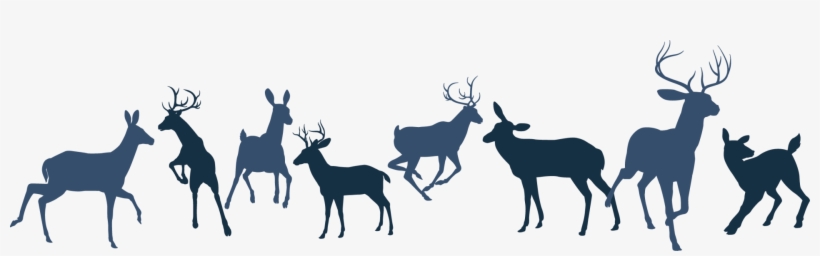 Texas Experience Second To None We Strive To Provide - Reindeer Herd Silhouette, transparent png download