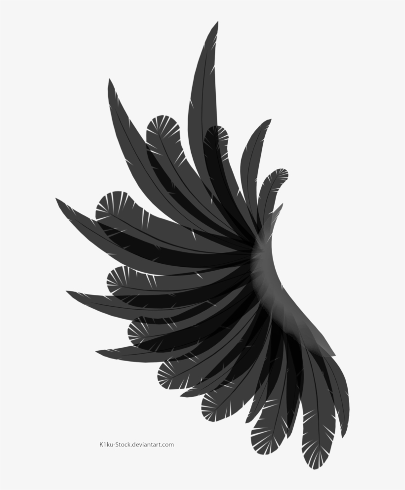 Transparent Icarus Wings - Wing With No Background, transparent png download