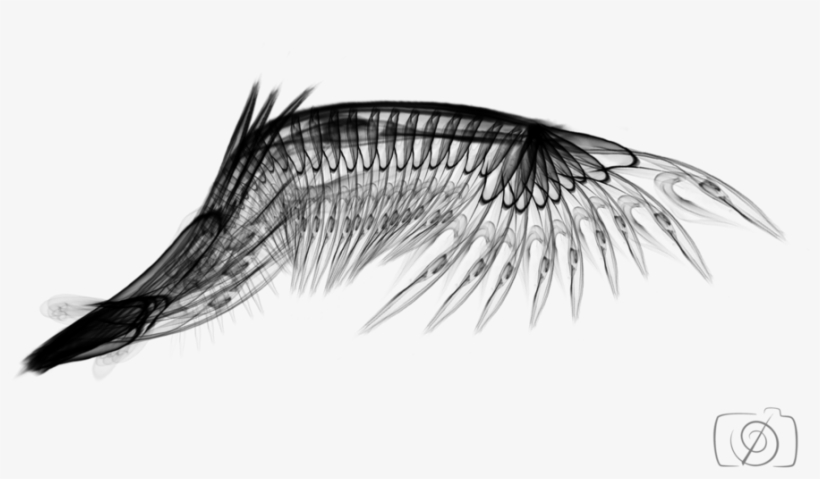 Wing Black Smoky Png By Dwilailan21-d63g4a8 - Smoky Png, transparent png download