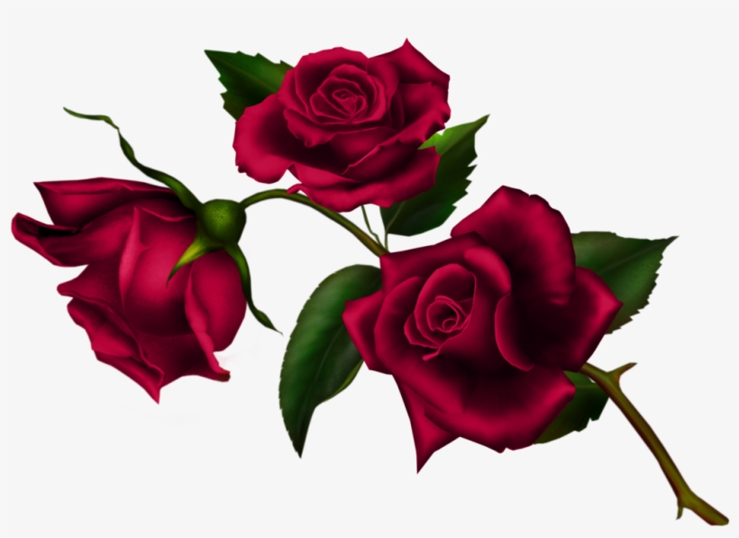 Masculine Names - Letter N, transparent png download