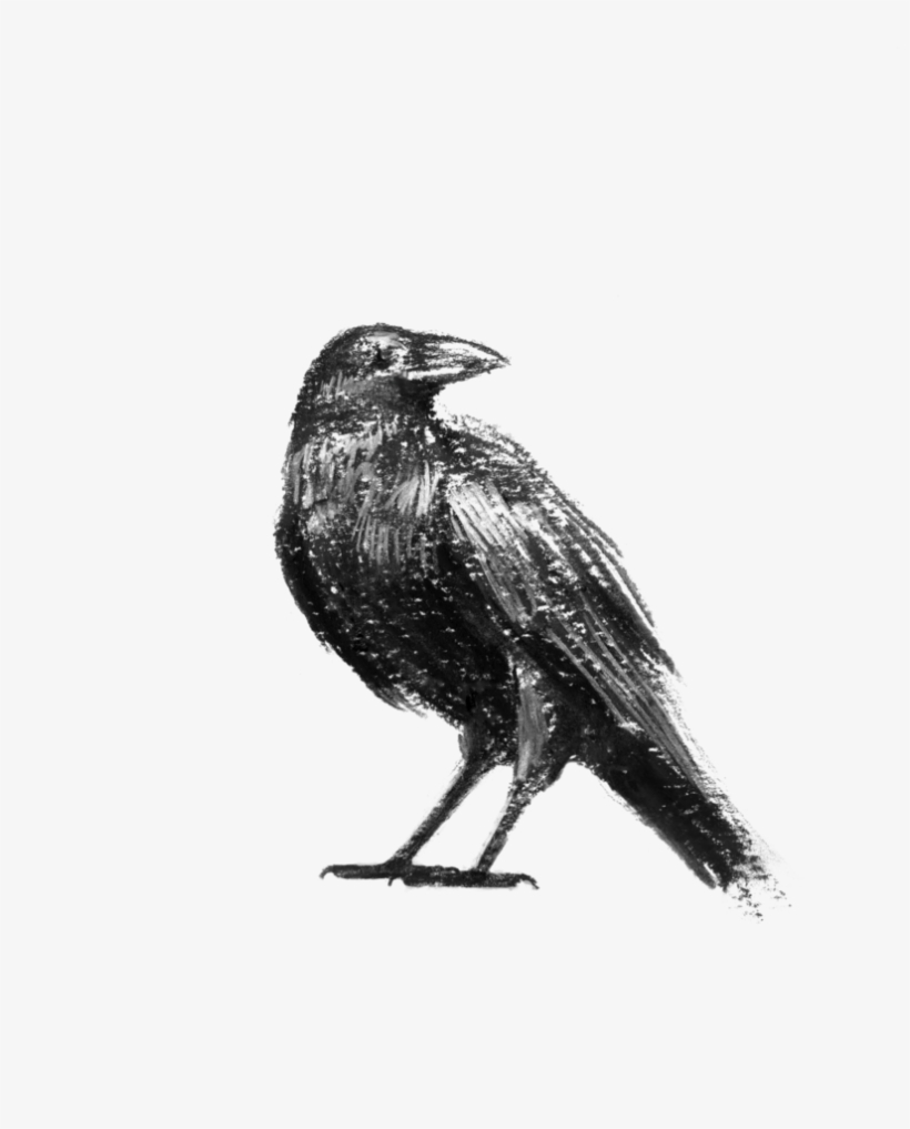 Clipart Transparent Library I Know Not Crow By Purzalot - Library, transparent png download