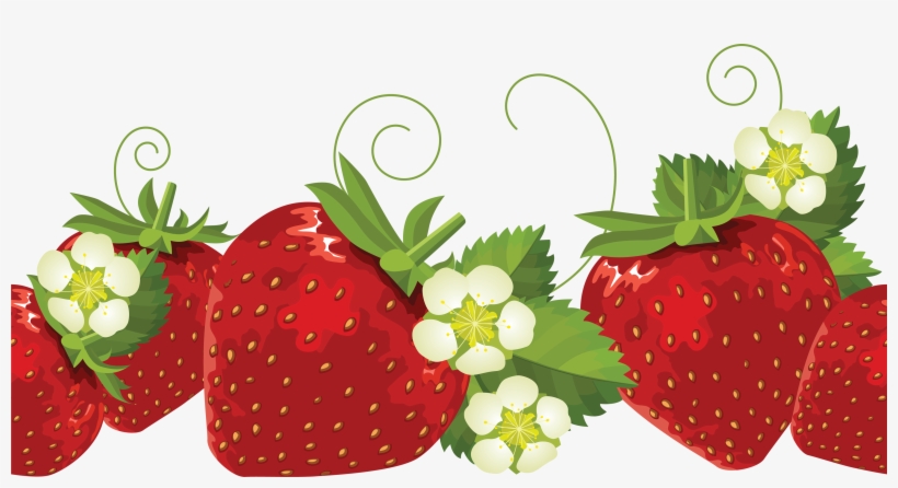 Five Clipart Strawberry - Strawberry Borders Clip Art, transparent png download