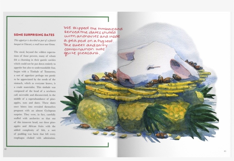 Attalea Speciosa, transparent png download