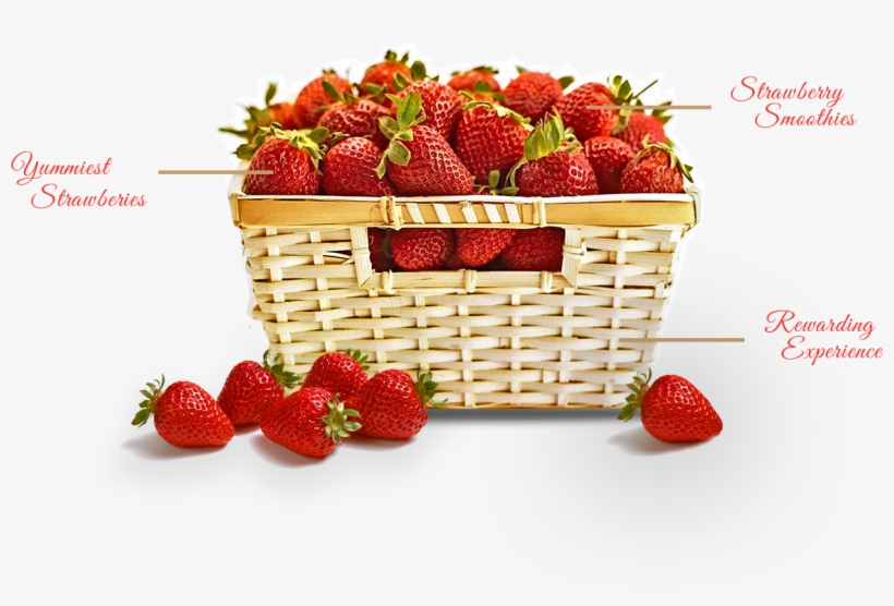 Go To Image - Strawberry, transparent png download