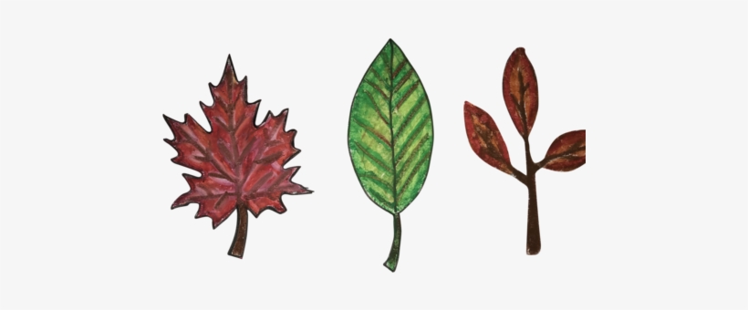 Fall Leaves - Autumn Leaf Color, transparent png download