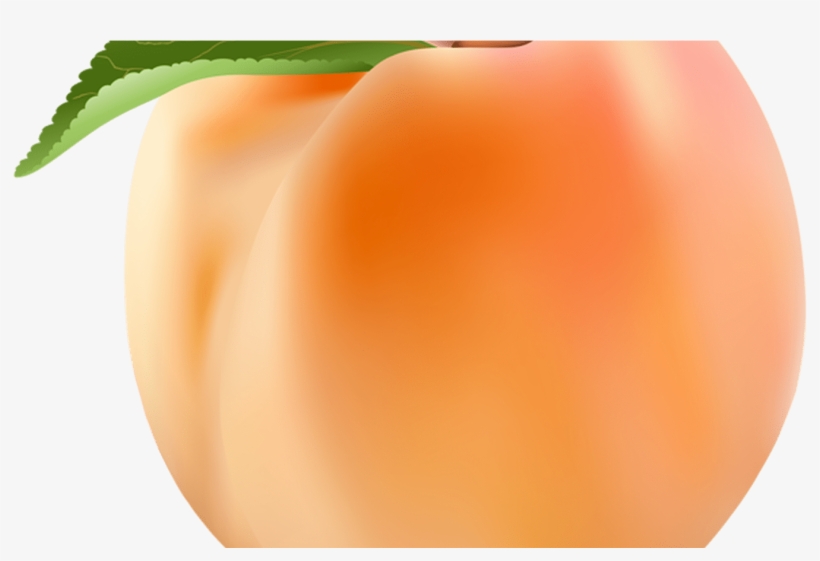 Peach Png Clip Art Image Gallery Yopriceville High - Tomato, transparent png download
