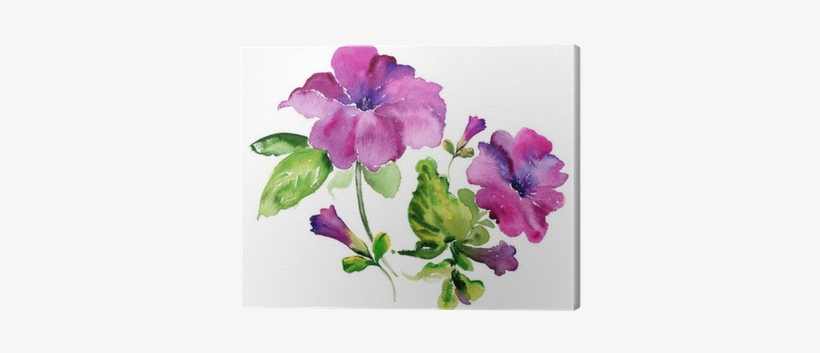 Watercolor Purple Petunia Flowers Canvas Print • Pixers® - Blueink Set Of 40 Guest Towels Buffet Paper Napkins, transparent png download