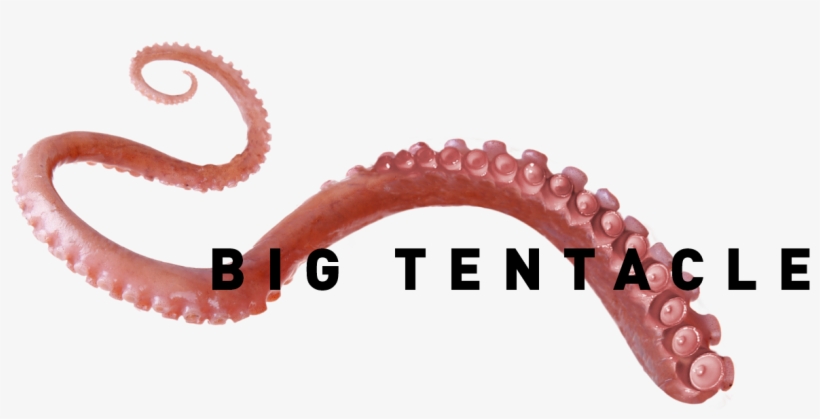 Big Tentacle Political Communications - Communication, transparent png download