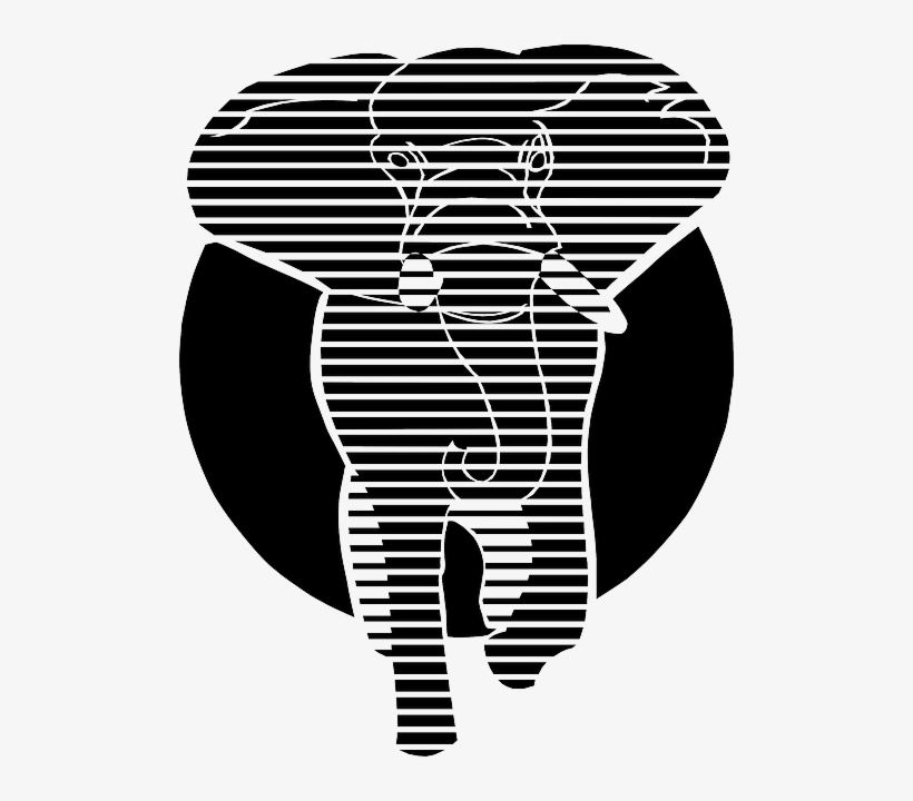 Animals, Head, Outline, Symbol, Mammals, Elephant - White And Black Graphics, transparent png download