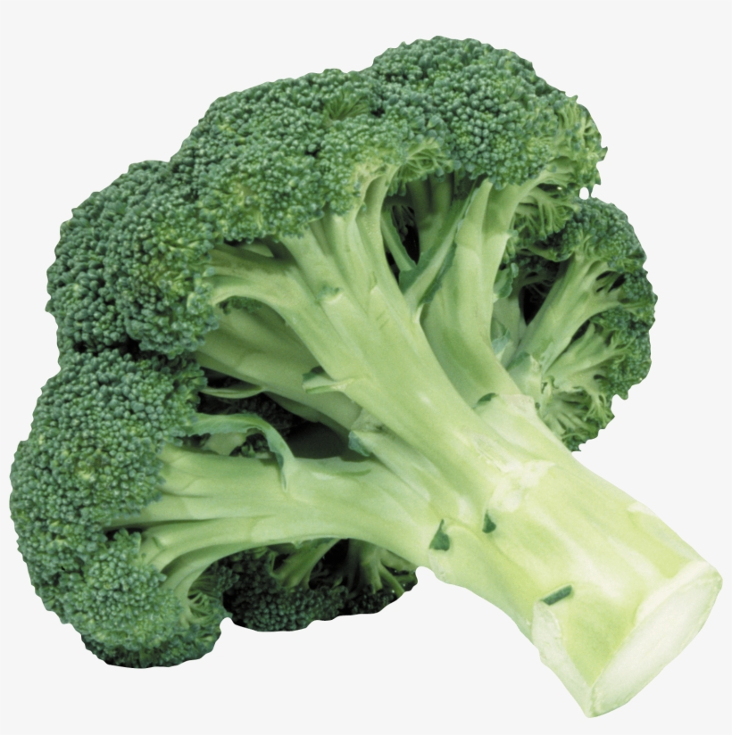 Broccoli Drawing Cauliflower - Broccoli Transparent, transparent png download