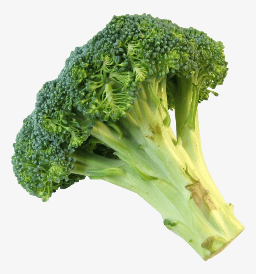 Free Png Fresh Broccoli Png Images Transparent - Broccoli Png, transparent png download