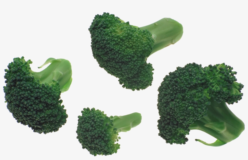 Broccoli Png Image - Broccoli Transparent Png, transparent png download