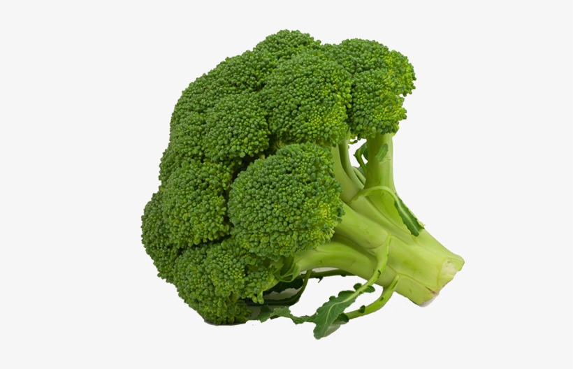Png Free Download Broccoli White Background Images - Broccoli Per Kg, transparent png download