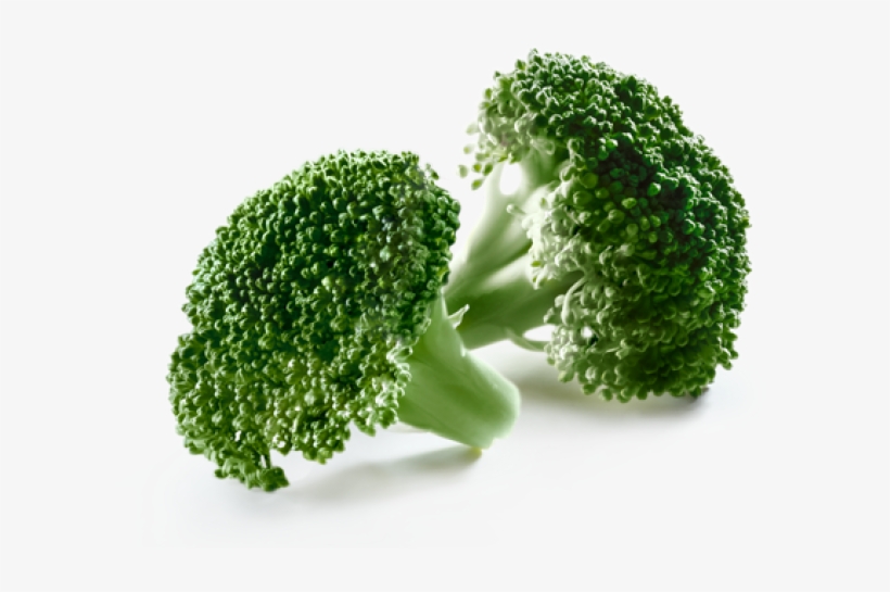 Broccoli, transparent png download