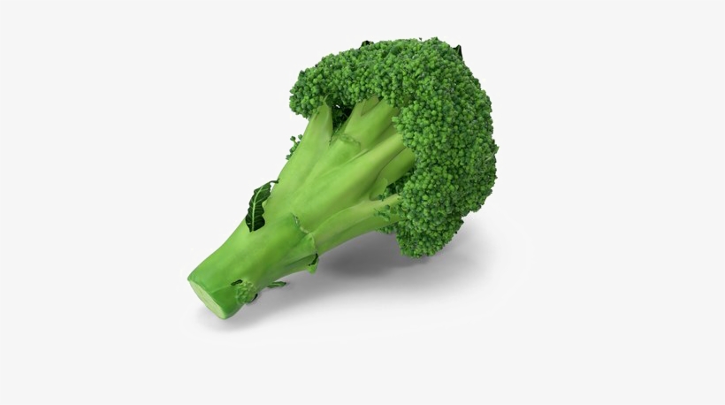 Broccoli Png Transparent Image - Portable Network Graphics, transparent png download