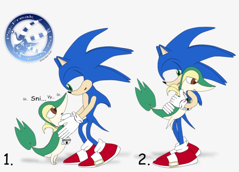 Sanic - Sonic And Snivy, transparent png download