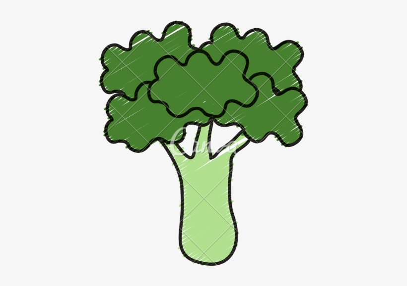 Broccoli Fresh Vegetable Icon Icons By Canva - Vegetable, transparent png download
