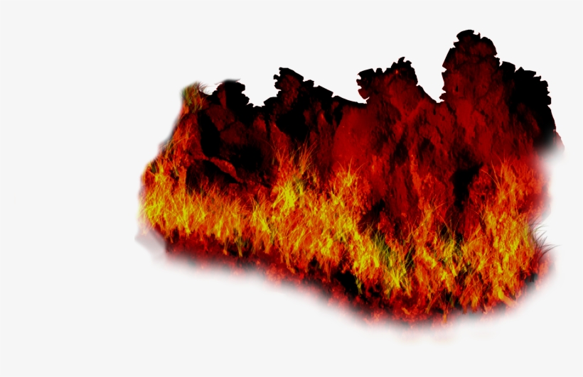 50 298k Hell Cliff 2 - Tree, transparent png download