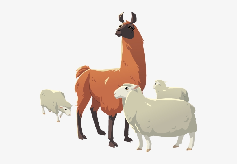 Llama Animal Png - Llamas Png, transparent png download