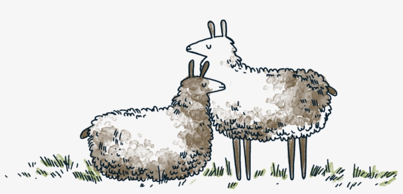 Llamas - Portable Network Graphics, transparent png download