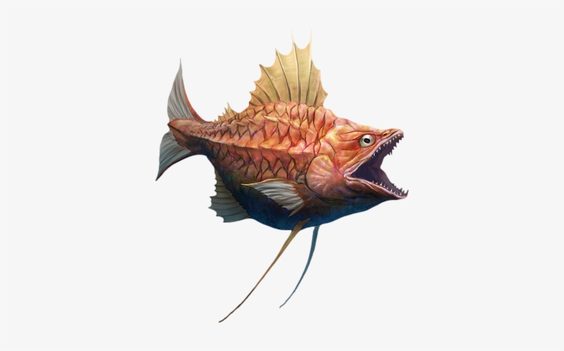 Magikarp Arvalis Nuovo - Magikarp Arvalis, transparent png download