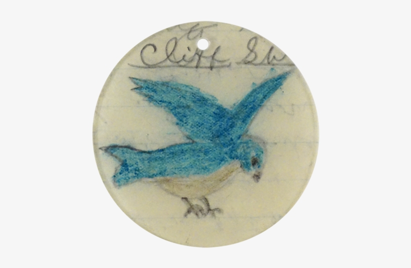 Cliff Swallow - Bluebird, transparent png download