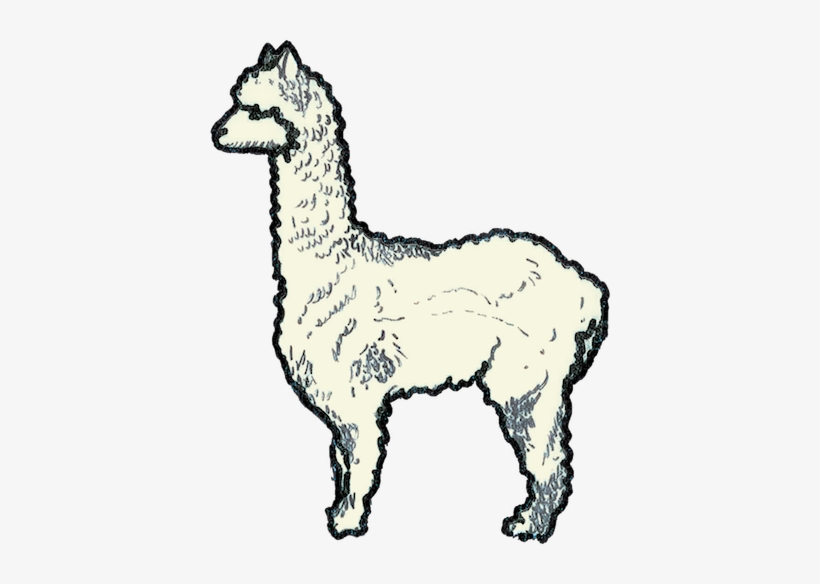 From Jam Nights To Bike Trails, From Obscure Eateries - Spartanburg, transparent png download