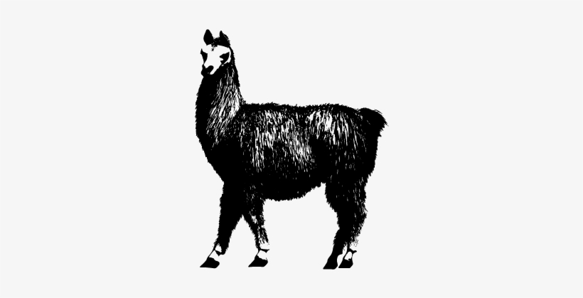 Dibujo De La Alpaca, transparent png download