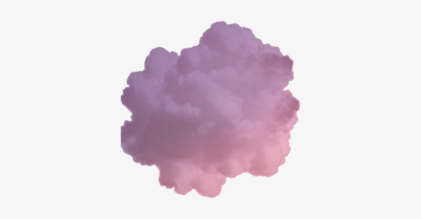Koala, transparent png download