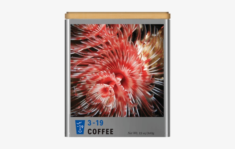 Abstractions I - Led-backlit Lcd Display, transparent png download