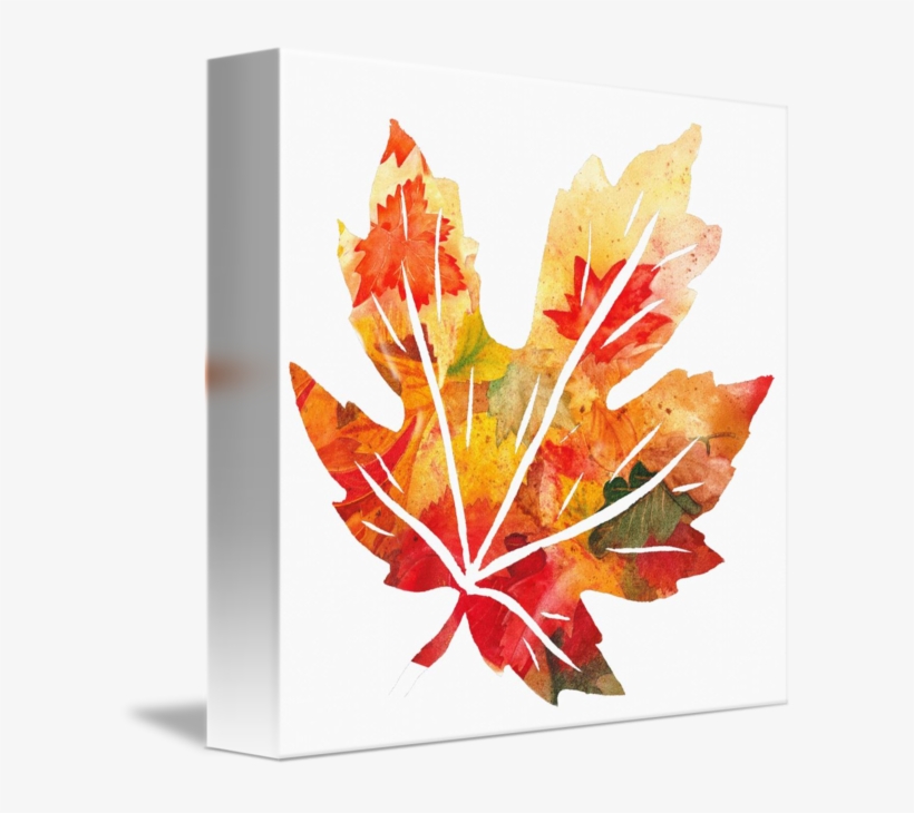 Fall Maple Leaf Watercolor Silhouette By Irina Sztukowski - Maple Leaf Watercolor, transparent png download