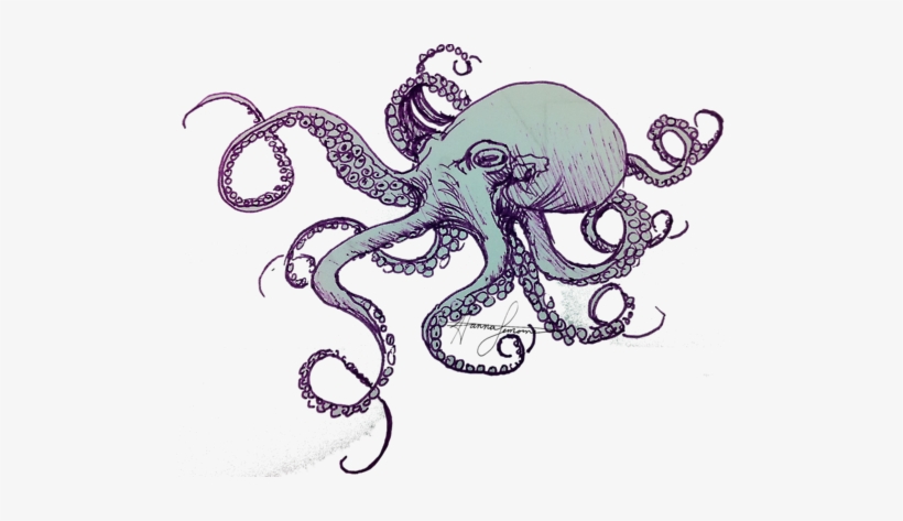 Octopus, transparent png download