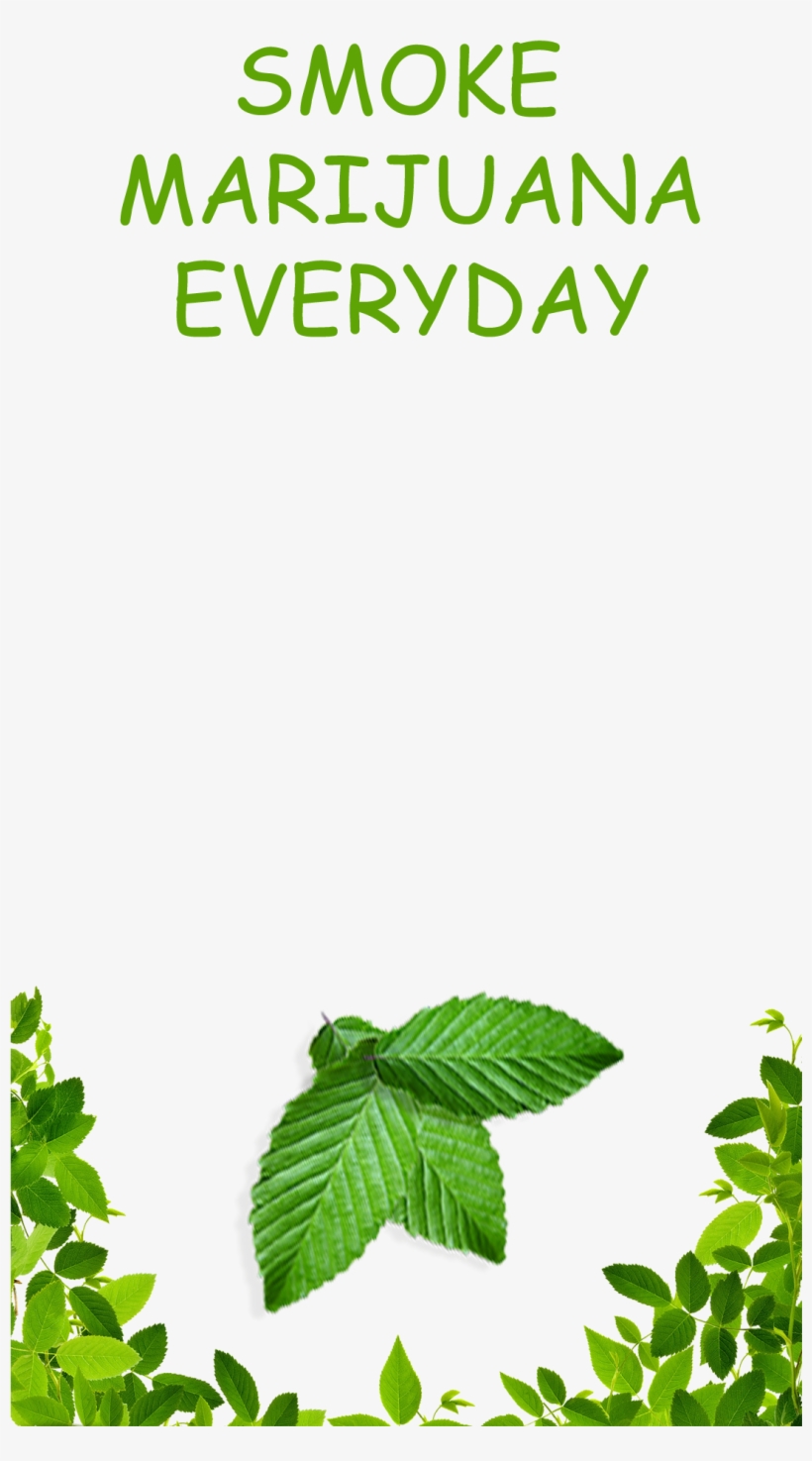 Bonus - Weed Custom Snapchat Filter, transparent png download