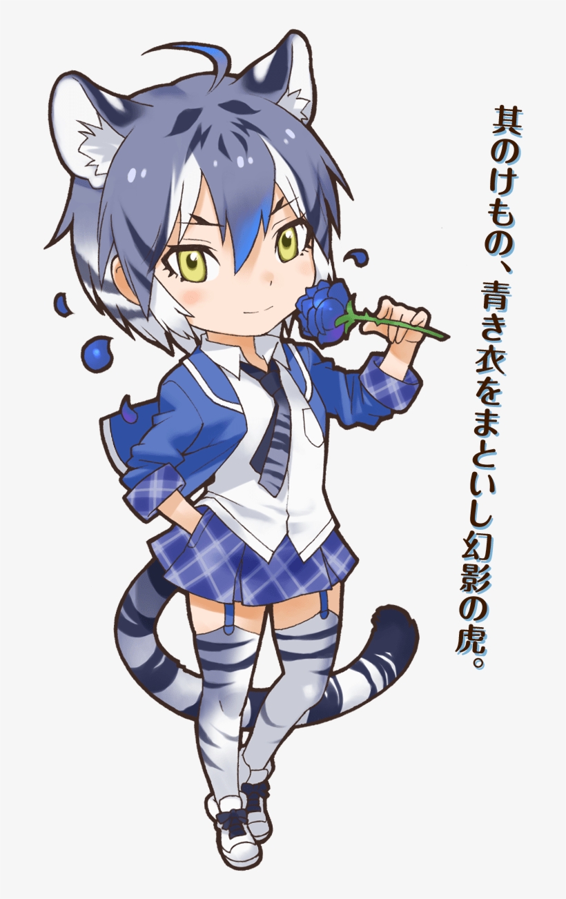 48 Maltese Tiger - Maltese Tiger Kemono Friends, transparent png download