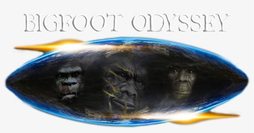 Home, transparent png download