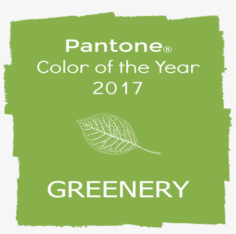 Pantone Color Of The Year - University Of Nebraska–lincoln, transparent png download