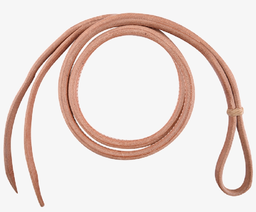 Horse, transparent png download