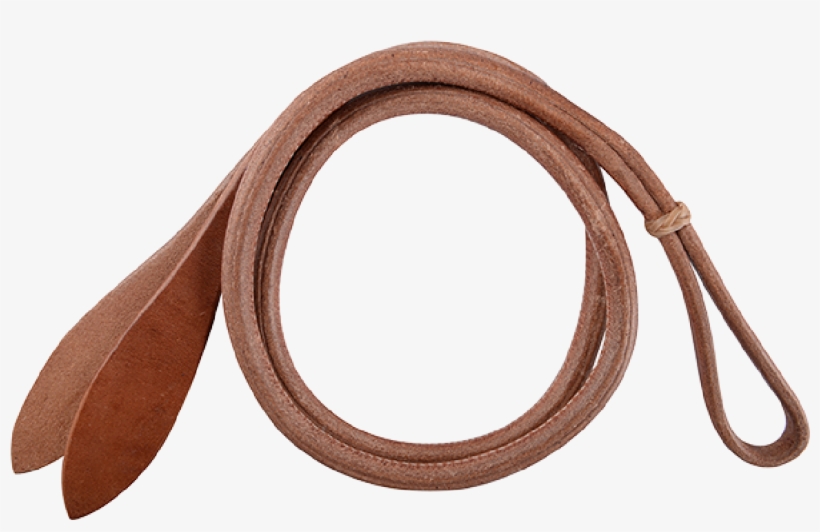 Horse, transparent png download