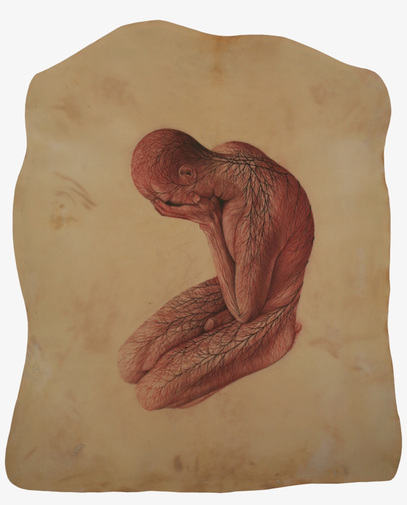 Watercolor On Parchment 110 X 130 Cm - Proboscis Monkey, transparent png download