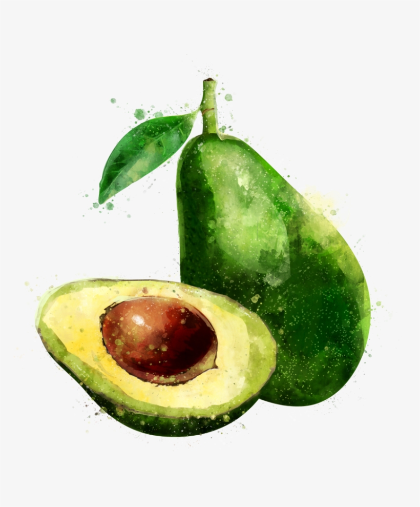 Board Of Directors - Авокадо Рисунок, transparent png download