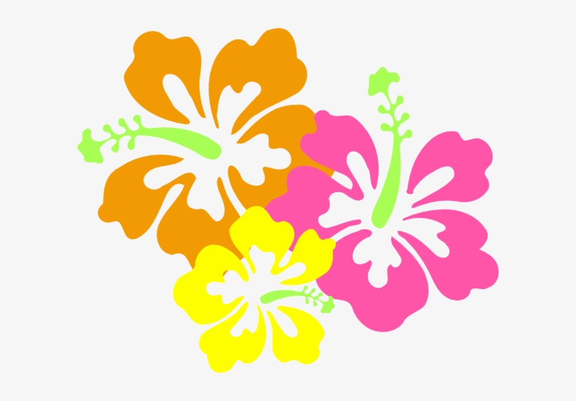 Buttercup Yellow Flower On White Background - Hibiscus Clip Art, transparent png download