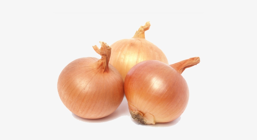 Onion Png Picture - Onion Cambodia, transparent png download