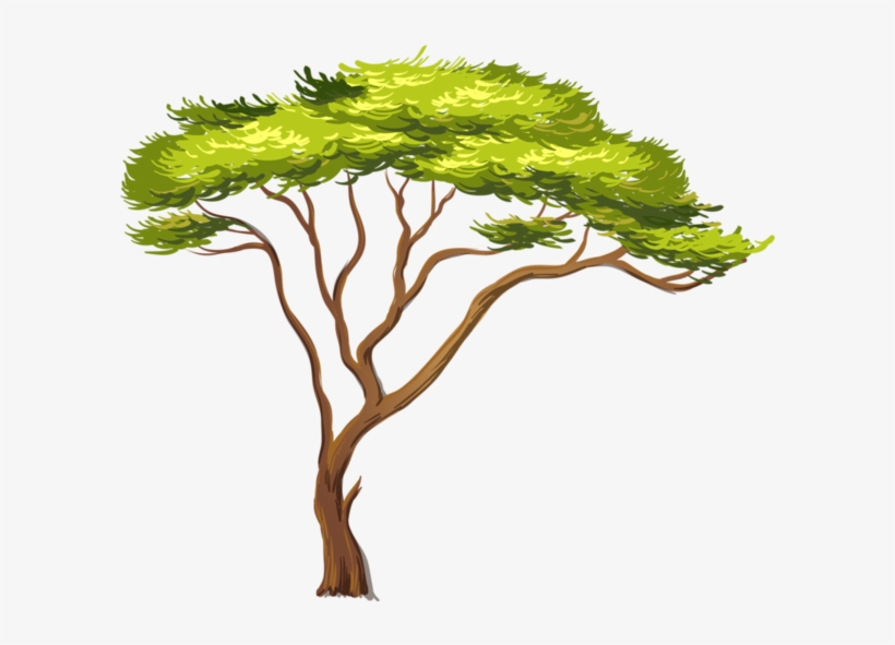 Arbre,png - Becoming A Set-apart Young Lady, transparent png download