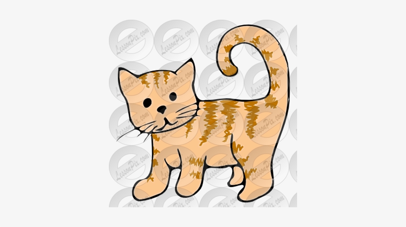 Kitten Picture For Classroom Therapy Use Great - Cat, transparent png download
