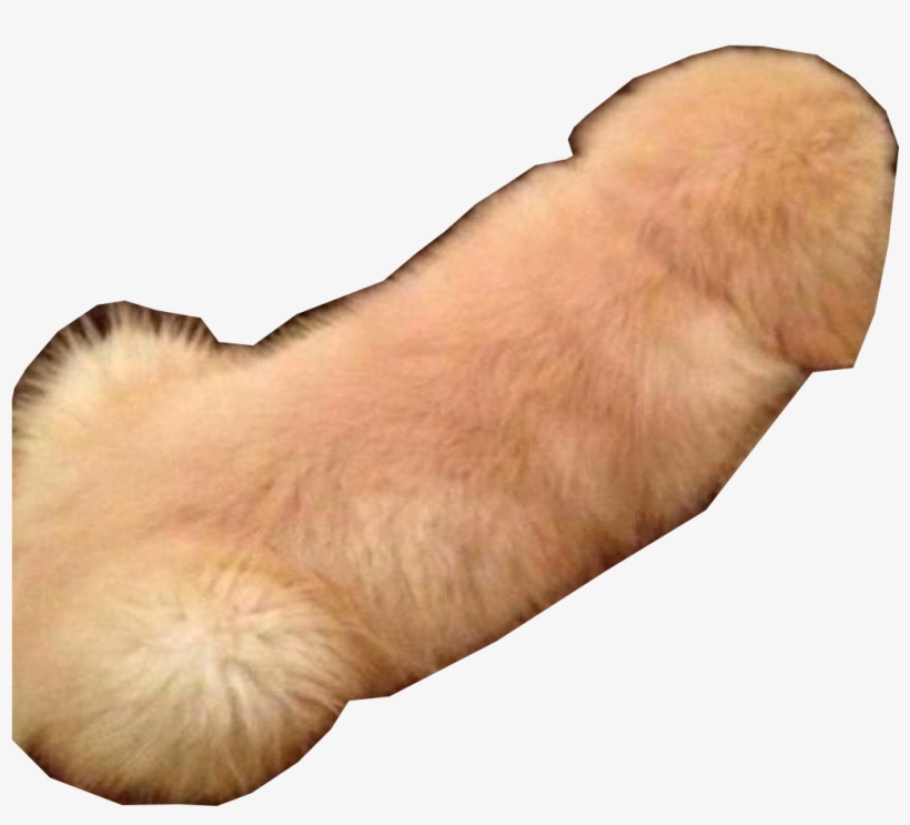 15 Dog Filter Png For Free Download On Mbtskoudsalg - Snapchat Dog Filter Png, transparent png download