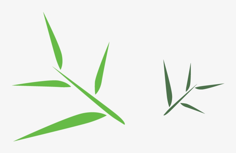 Bamboo Leaf Png Free Download - Clip Art Bamboo Leaf, transparent png download