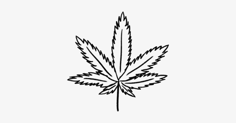 28 Collection Of Weed Drawing Png - Cannabis, transparent png download