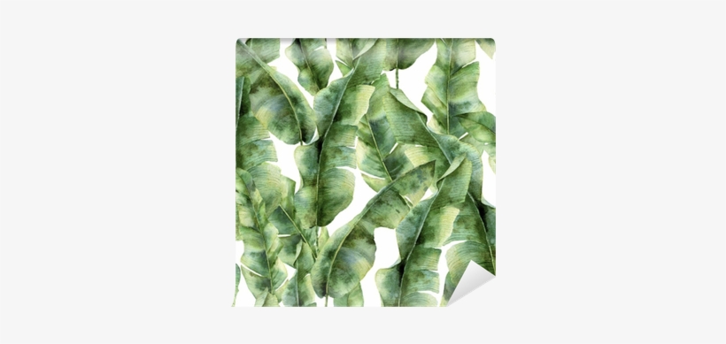 Watercolor Pattern With Banana Palm Leaves - Botanische Print, transparent png download