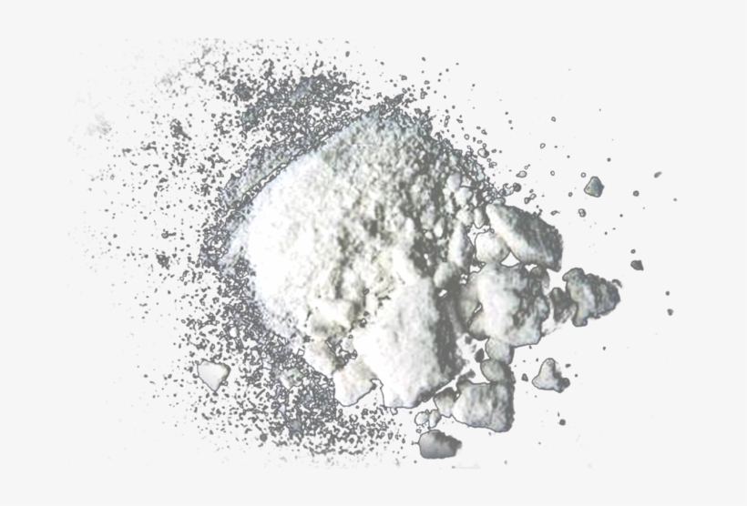 Central Illinois Police Find Fentanyl-laced Cocaine - Surviving The Darkest Days [book], transparent png download