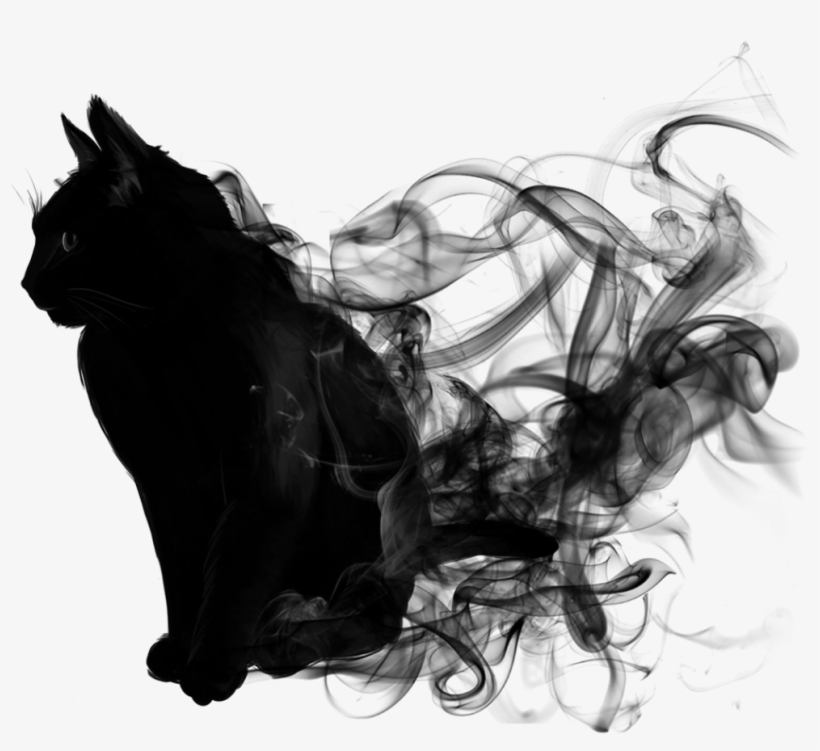 Cat Black Smoke Blacksmoke Animal Blackandwhite Picsart After Dark Png Png Image Transparent Png Free Download On Seekpng
